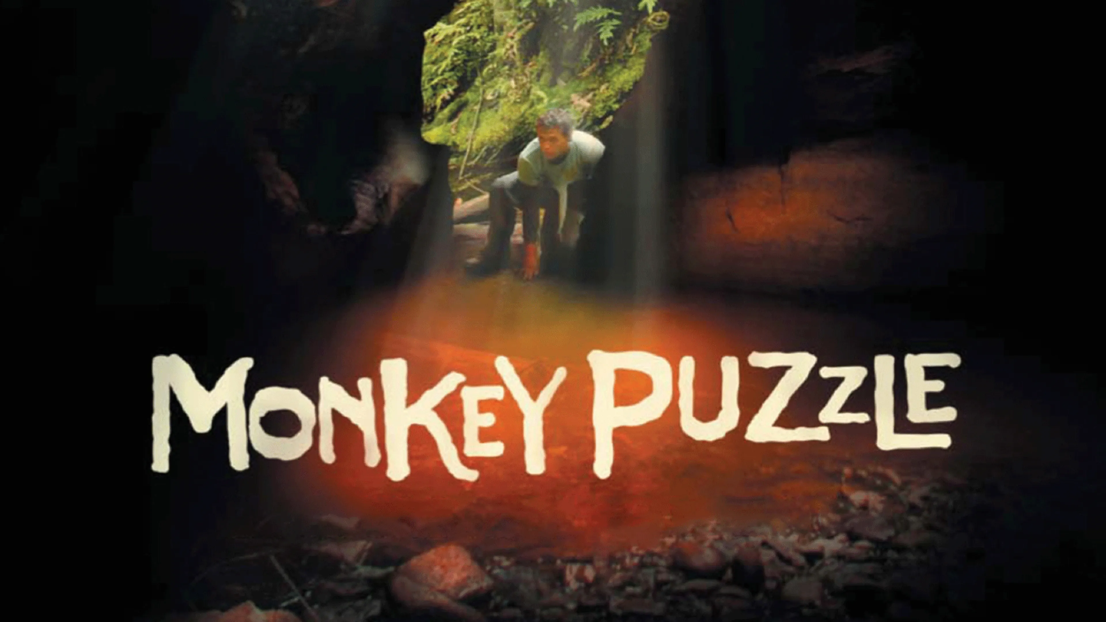 Monkey Puzzle poster